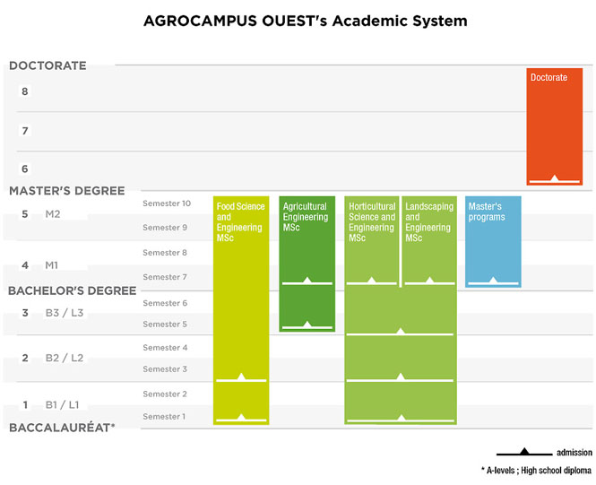 Grading system in higher education courses