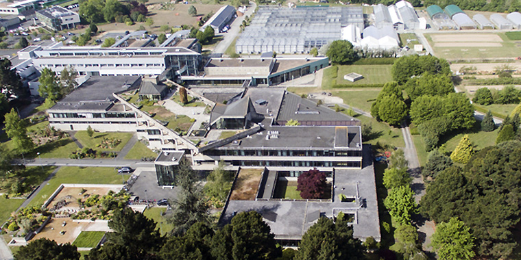 Angers Campus